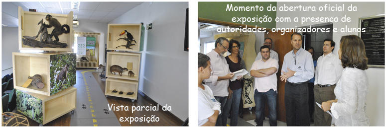 Exposição “Bicho: quem te viu, quem te vê!” na Câmara Municipal