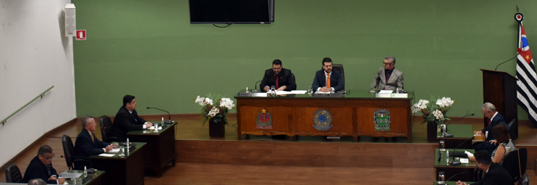 11ª SESSÃO ORDINÁRIA, 18ª e 19ª SESSÕES EXTRAORDINÁRIAS