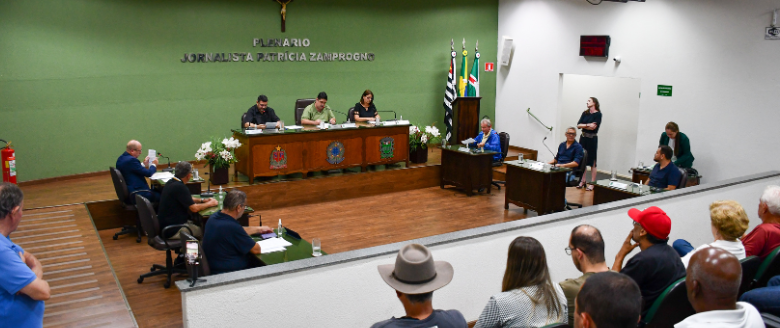 31ª e 32ª Sessões Extraordinárias